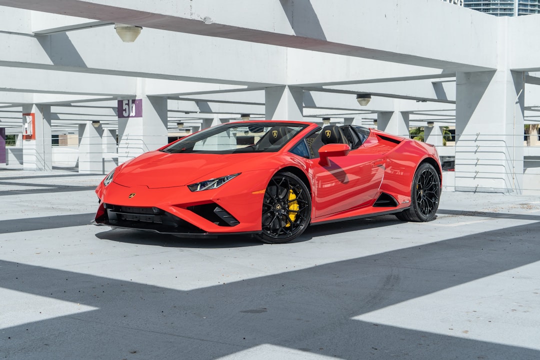 Daily Car Rental